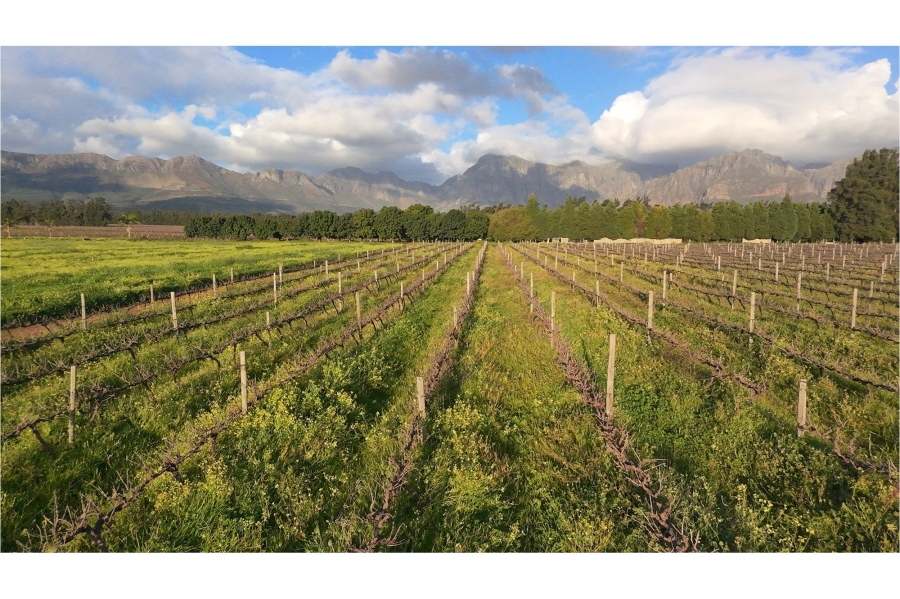 0 Bedroom Property for Sale in Klein Nederburg Western Cape